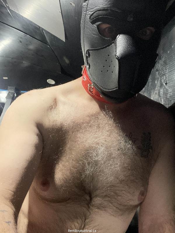 Timothy.James Gay Escort Melbourne 0493966758 gayescortsydney.com